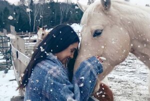 Tremblant hotel, animal farm