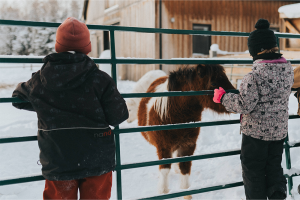 Tremblant hotel farm